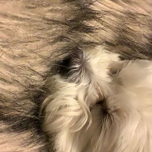 Meet your Posher, Patsy